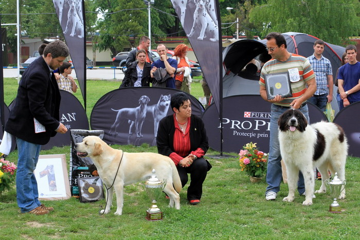 ] - 3-CAC BUCURESTI-15-05-2010