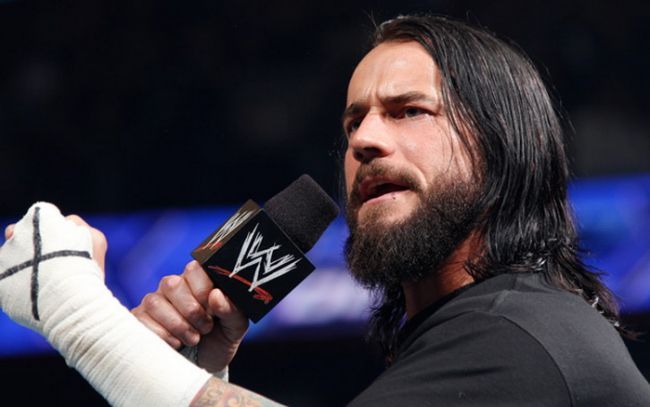 cm-punk-ales-de-wwe-ticalosul-lunii_size1