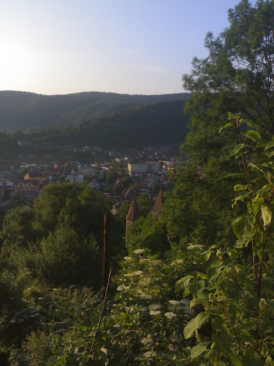 10062010713 - Sighisoara 2010