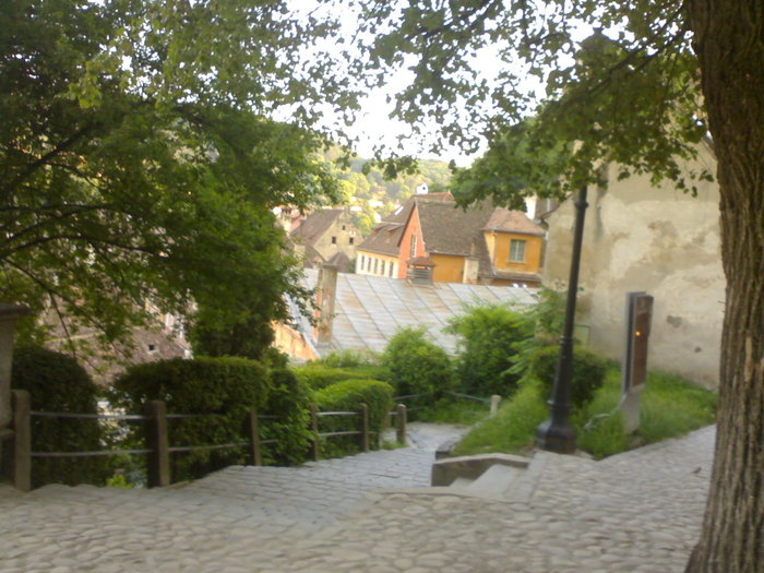 10062010729 - Sighisoara 2010