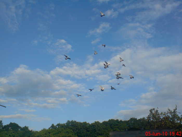 DSC00495