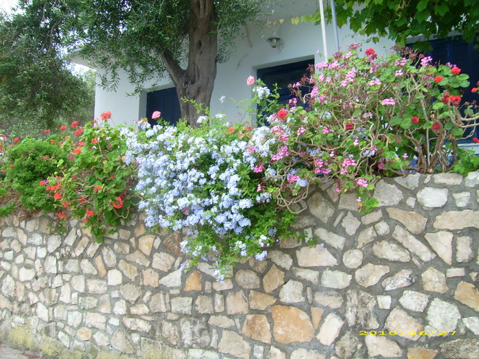 DSCI7225 - 2010_Corfu_20-29-06-a