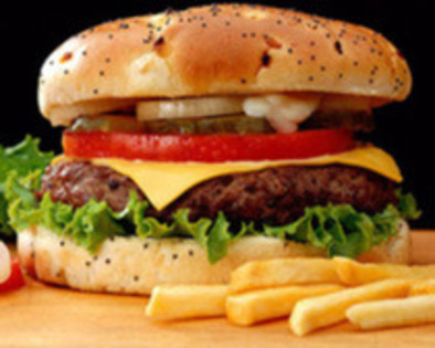 hamburger cumparat- 10lei - 04-O--camera O
