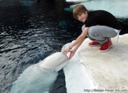 16215545_MRWCNKFRO[1] - Justin  Bieber
