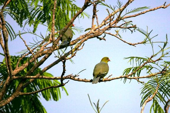 image0181