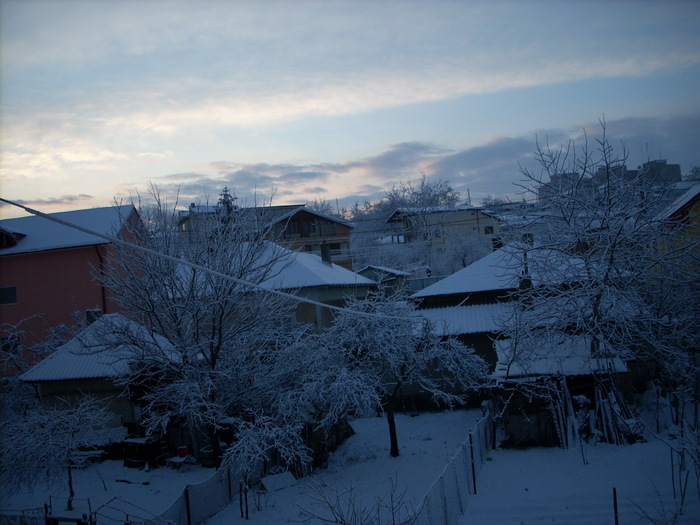 IARNA PE INSERAT - IARNA LA TULCEA