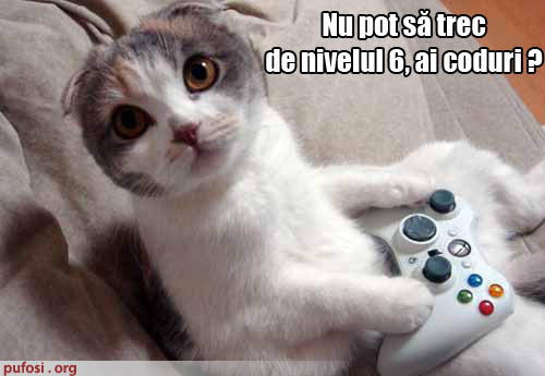 51 - Poze amuzante