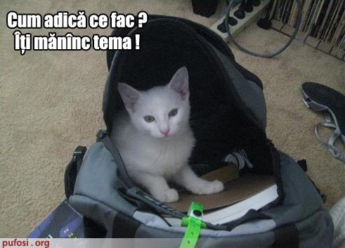 52 - Poze amuzante