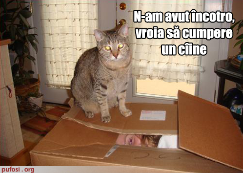 58 - Poze amuzante