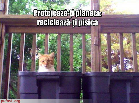 66 - Poze amuzante