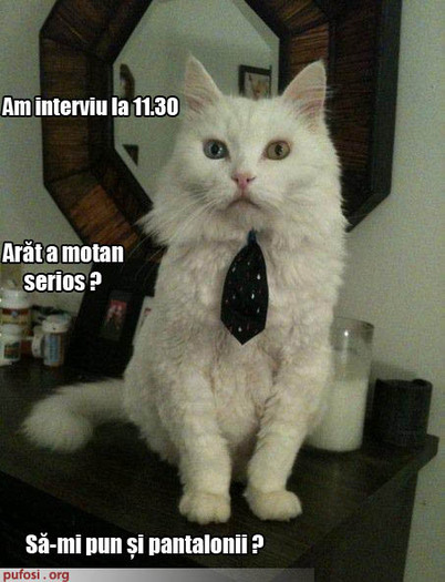 111