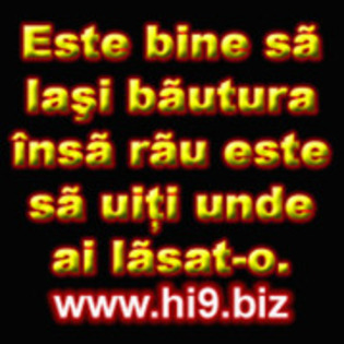 11940335_IFMLDRZLB[1]