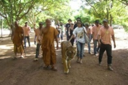 12737783_AWYKFORDO - kakul-anesha kapoor