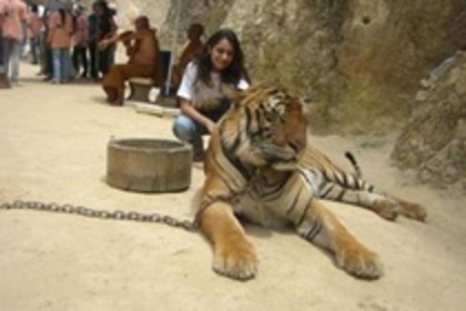 12737786_CBIRQXCMP - kakul-anesha kapoor