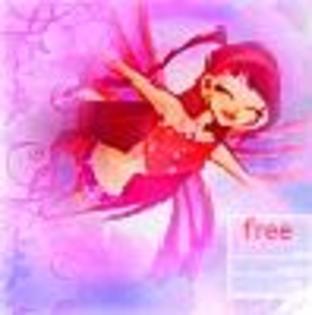  - Club Winx transform