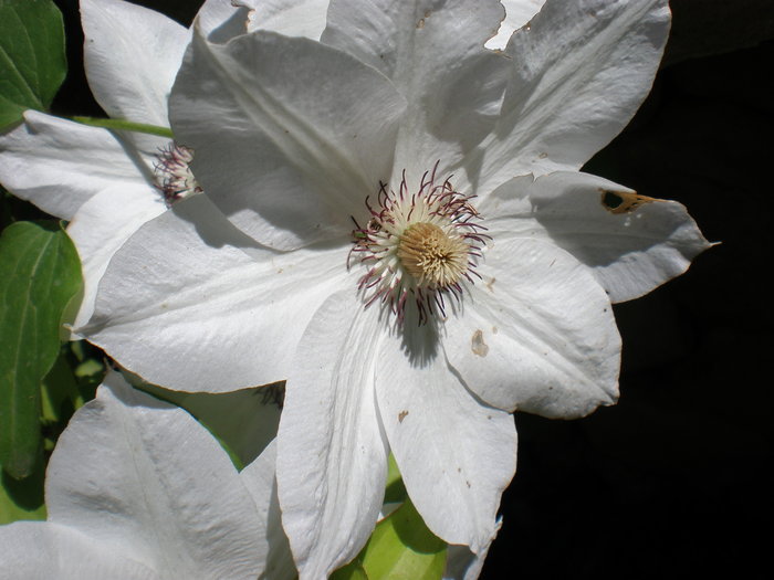 P6060158