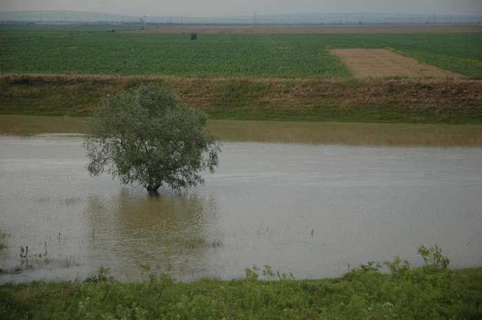 1 (15) - inundatii  IASI   inuie 2010