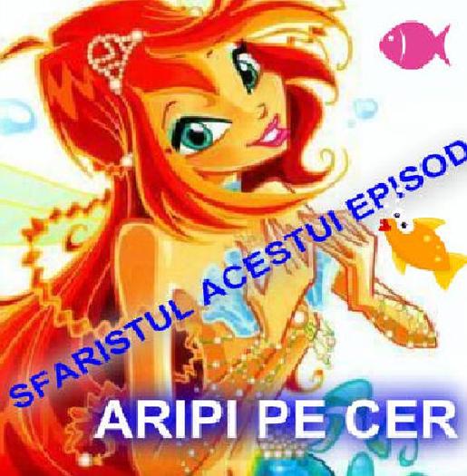 40 - B D cu Winx Club 4 ever - Sezonul 5 - Episodul 01