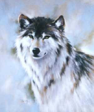 21509wolf - animale