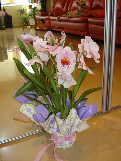 MILTONIA