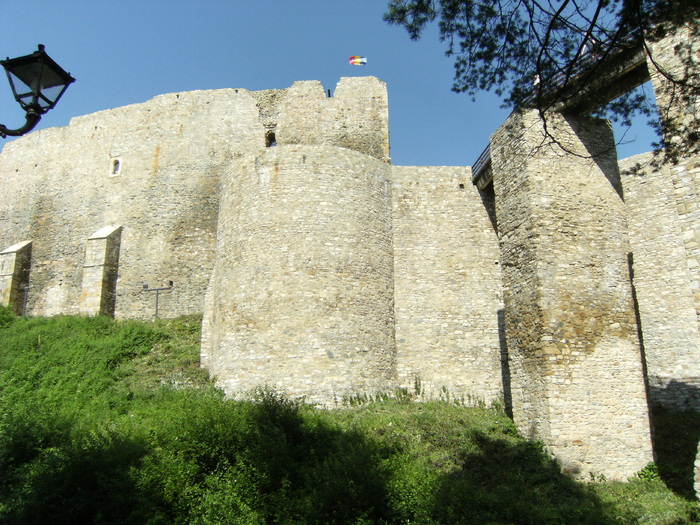 iulie 2010 005 - cetatea neamtului