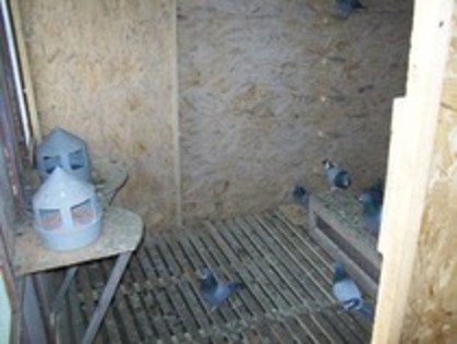 compartiment zburatori