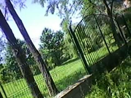 SP_A1916 - padure