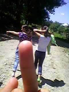 SP_A1941 - padure