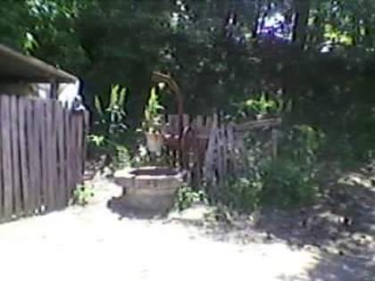 SP_A1943 - padure