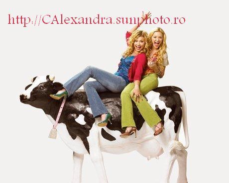Cow-belles-aly-and-aj-6736668-460-368 - Cow belles
