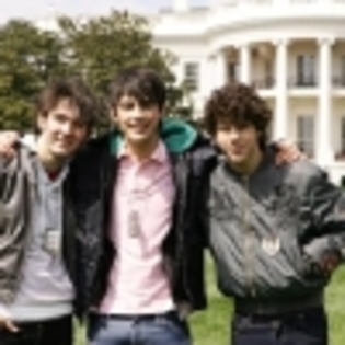 poze2_bestmusic_royyyyyyyyyyyyyyy - jonas brothers