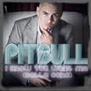 8HSCASCHLGKCA9PU0Z4CAQBH0C6CABPDZFQCAAOT0BGCAMC60IDCA2IGBBBCA4PI0O0CAQABYBTCA09HHUPCAWVOI65CAGKDE5LC - pitbull