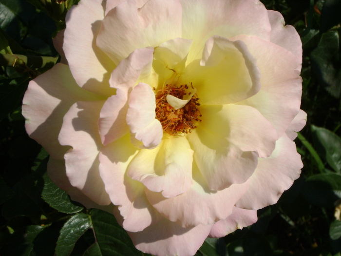 DSC07308