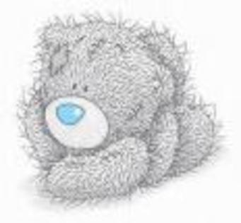 r6493577386_1226162632 - bears in love