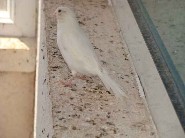 Picture 254