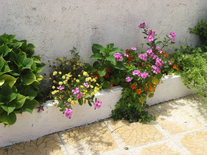 IMG_4871 - 02 - Corfu 2010 partea I-a