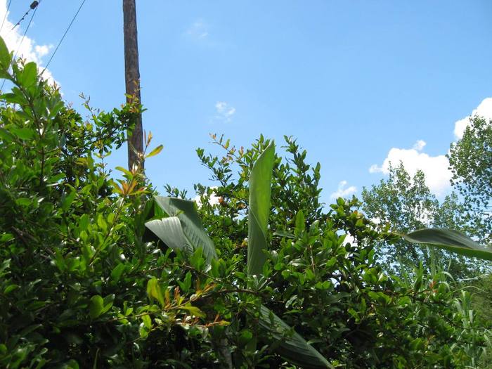 IMG_4878 - 02 - Corfu 2010 partea I-a