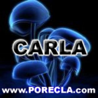 530-CARLA%20avatare%20marfa%20cu%20nume - colega mea carla