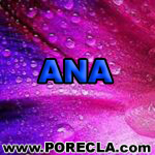 509-ANA%20ingineru