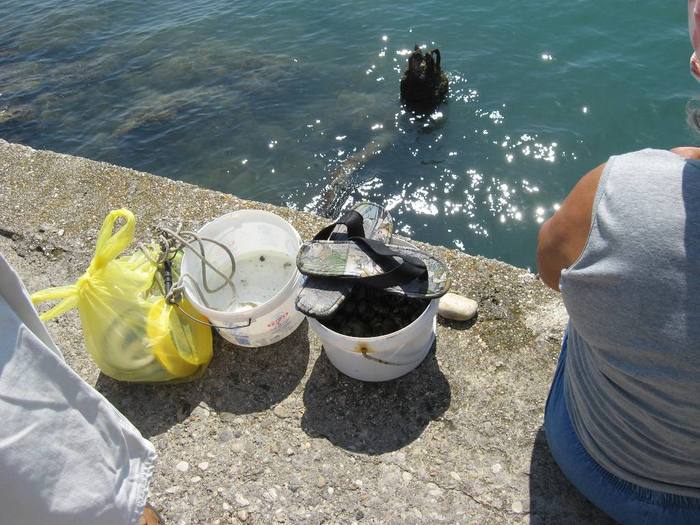 IMG_5354 - Corfu 2010 partea a III-a