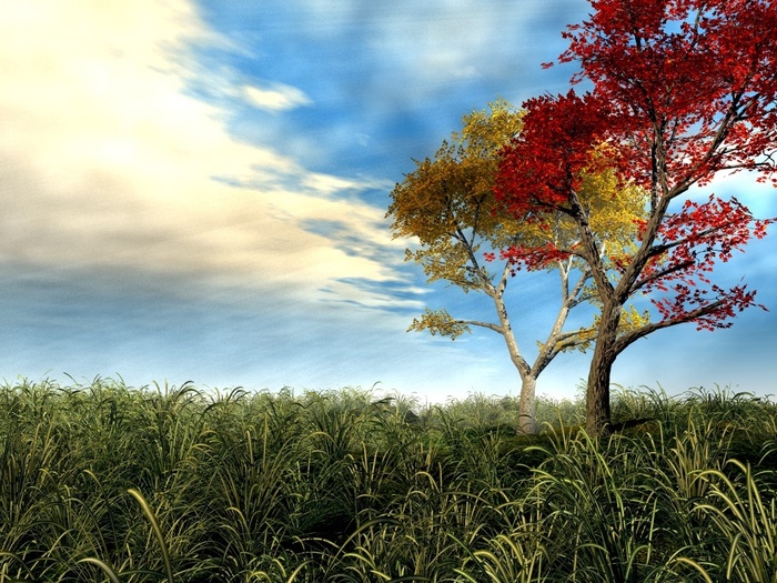 3d_landscape_wallpapers_4-1024x768 - poze 3d