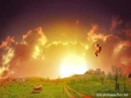 coolfg_013-676453 - poze 3d