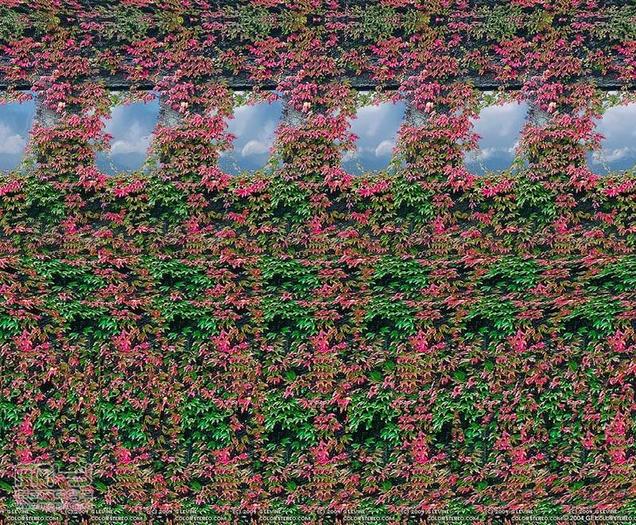 stereograms 074