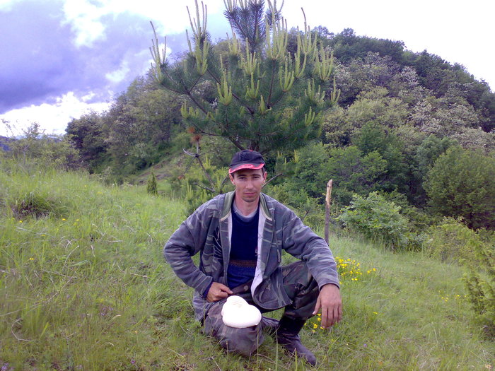 salcam III 2010