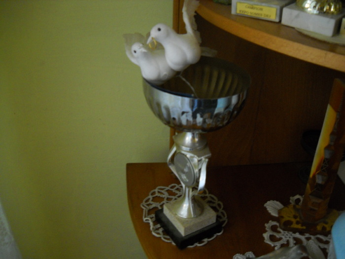 au cuibarit intr-o cupa