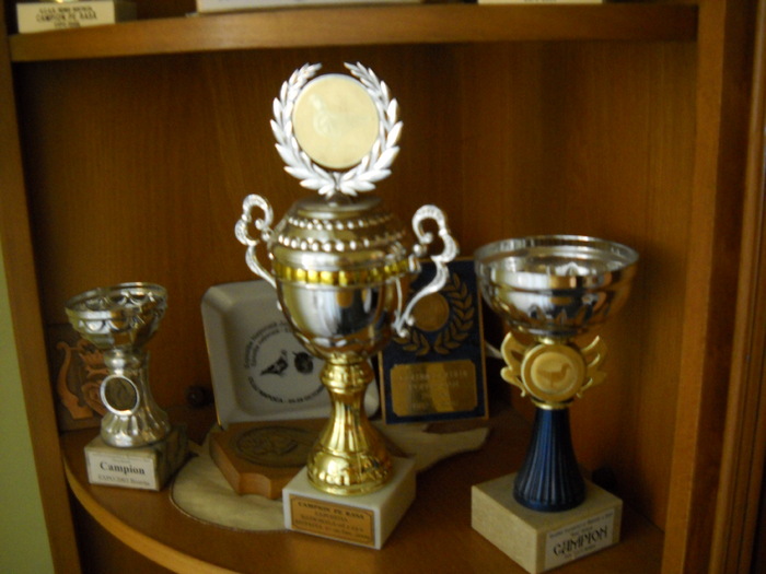 au o valoare nepretuita