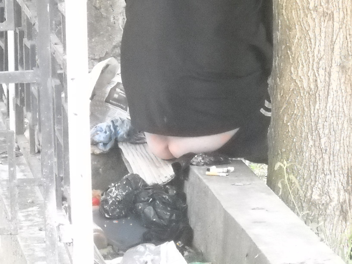 in centru, si-a aratat fata la lume - ferma din oras