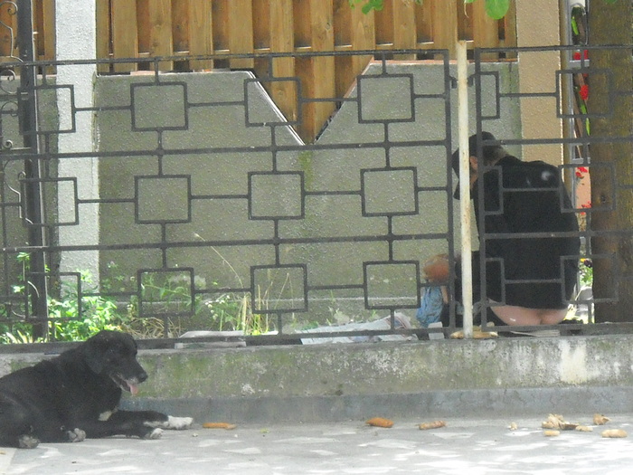 ...omul si cel mai bun prieten al lui - ferma din oras