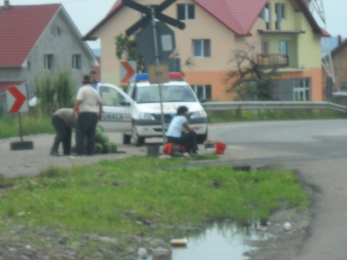 cu politia la pepeni si...... - ferma din oras