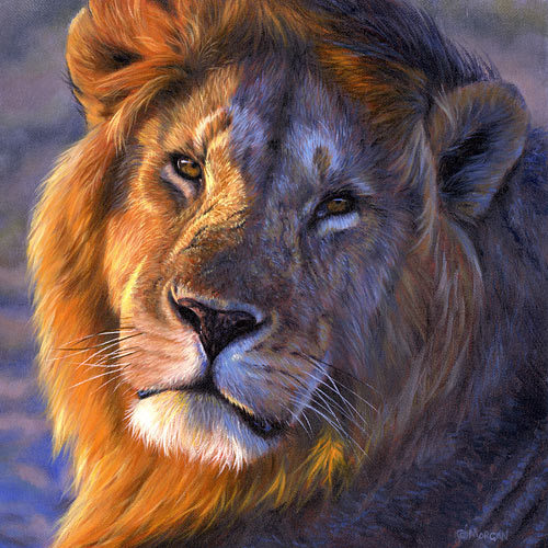 african-lion-final - animalele mele preferate